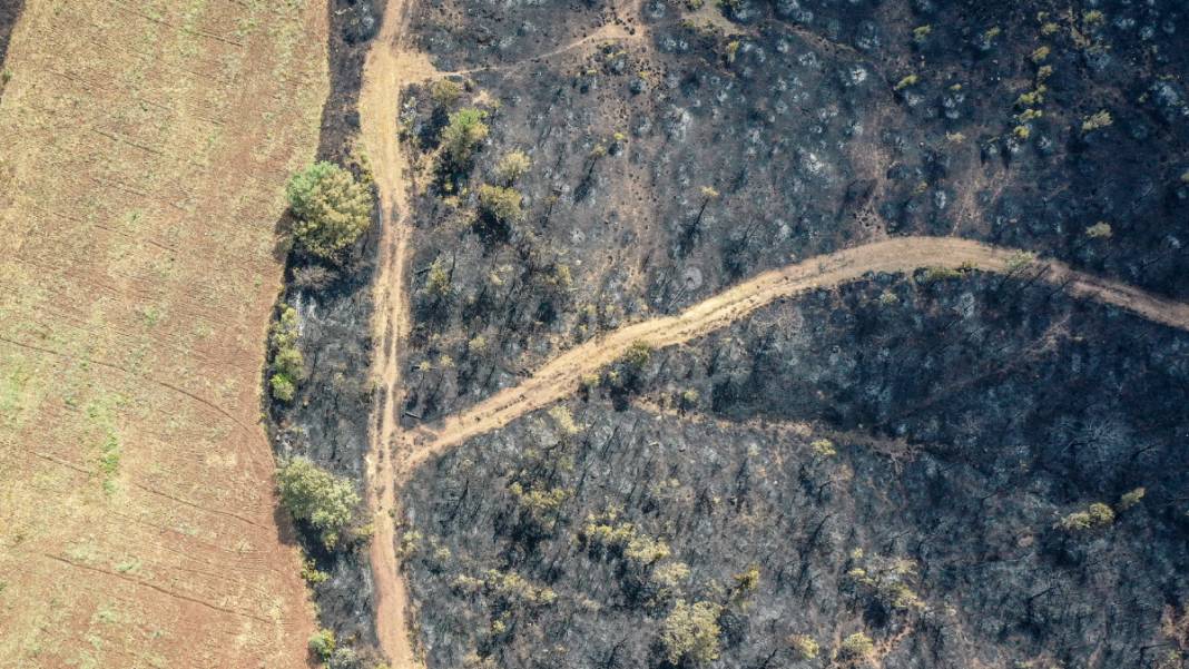 Sakarya'da başlayan yangın kontrolden çıktı: Bilecik'in ormanları siyaha büründü 3